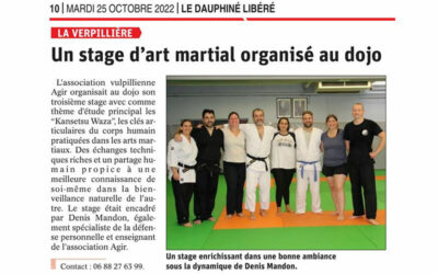 Un stage d’art martial organisé au dojo