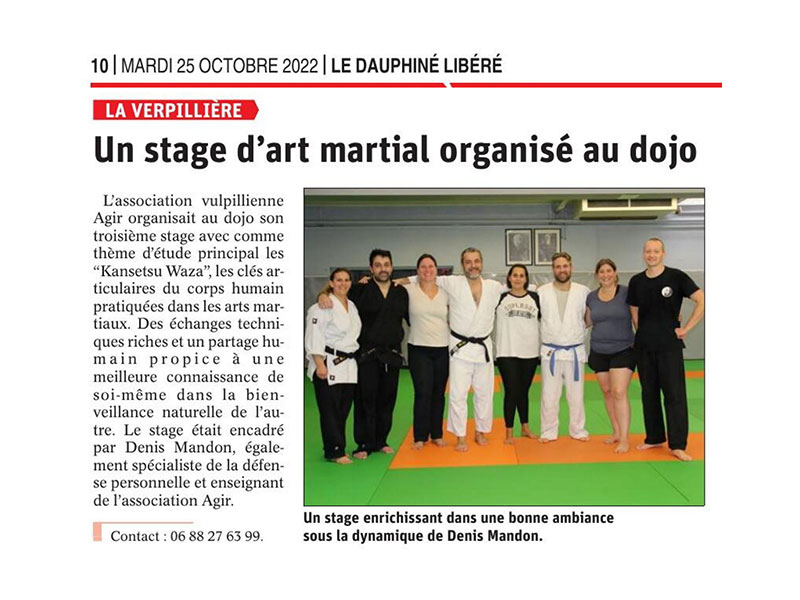 Un stage d’art martial organisé au dojo