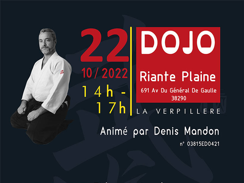 Denis-Mandon-pratiques-arts-martiales-defense-personnelle-budo-bujutsu-actualites-2023-03-25-Article-Dauphine-stage-Denis-header-06