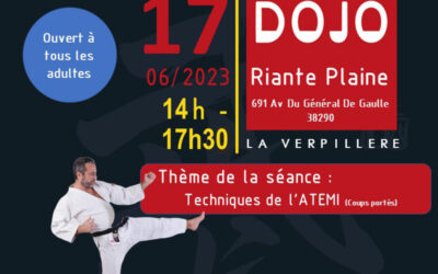 STAGE – Techniques de L’ATEMI – Coups portés