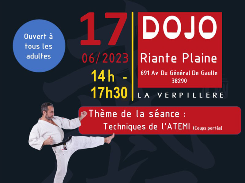 Denis-Mandon-pratiques-arts-martiales-defense-personnelle-budo-bujutsu-actualites-2023-03-25-Article-Dauphine-stage-Denis-header-07